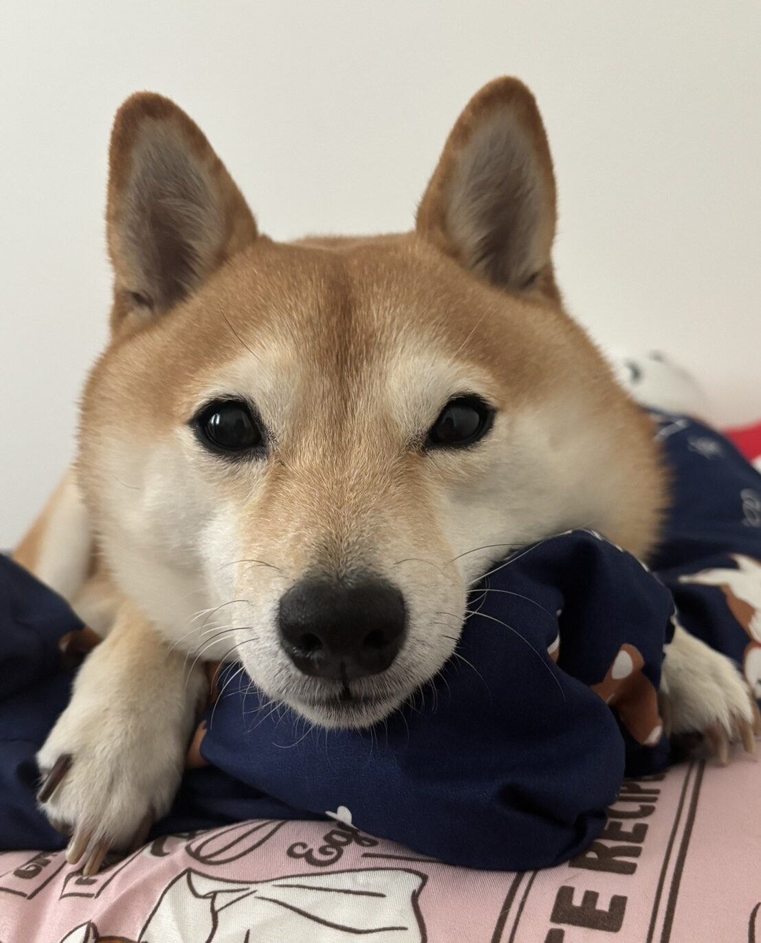 line_oa_chat_260330_182742_group_2